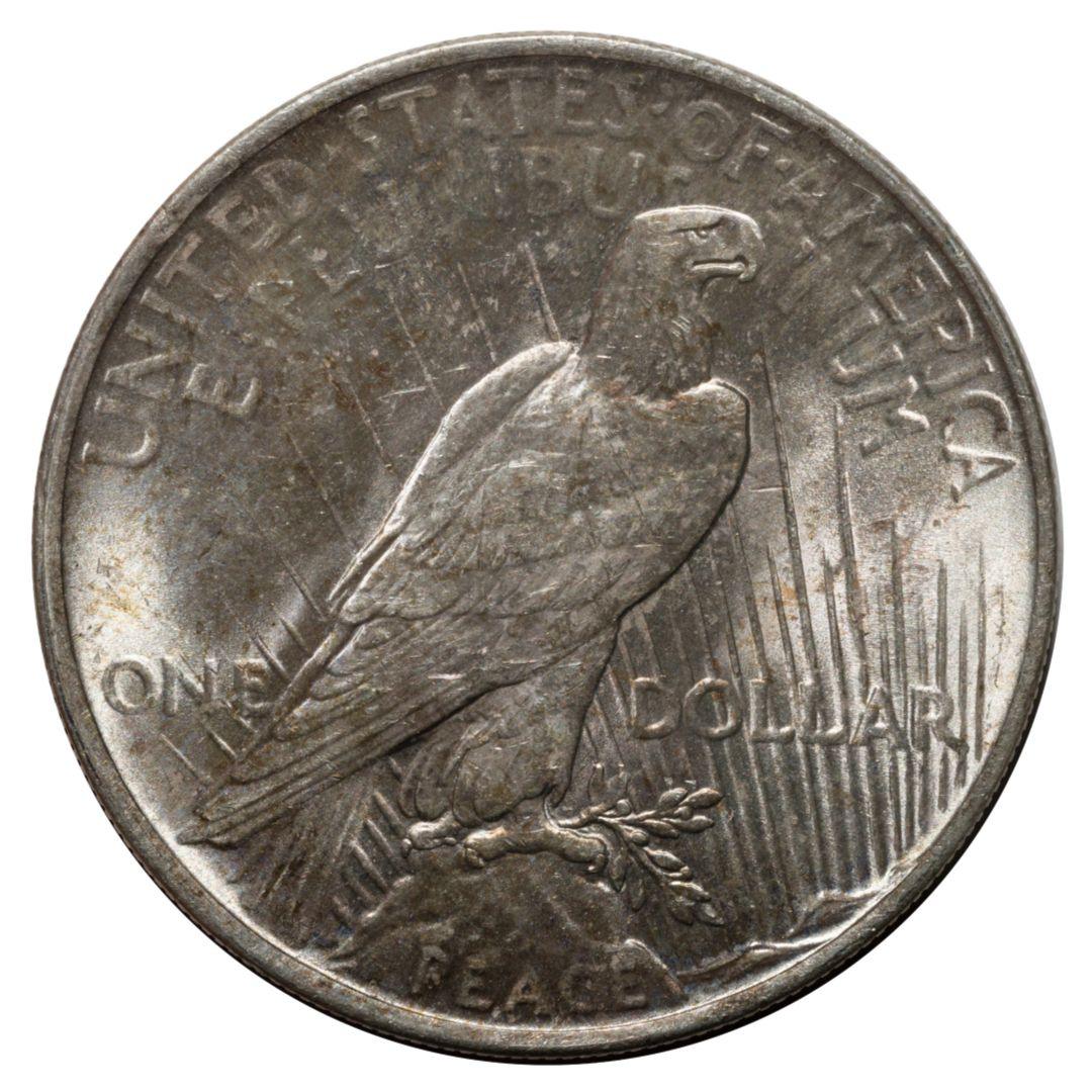 1922 Peace Silver Dollar XF - Image 2