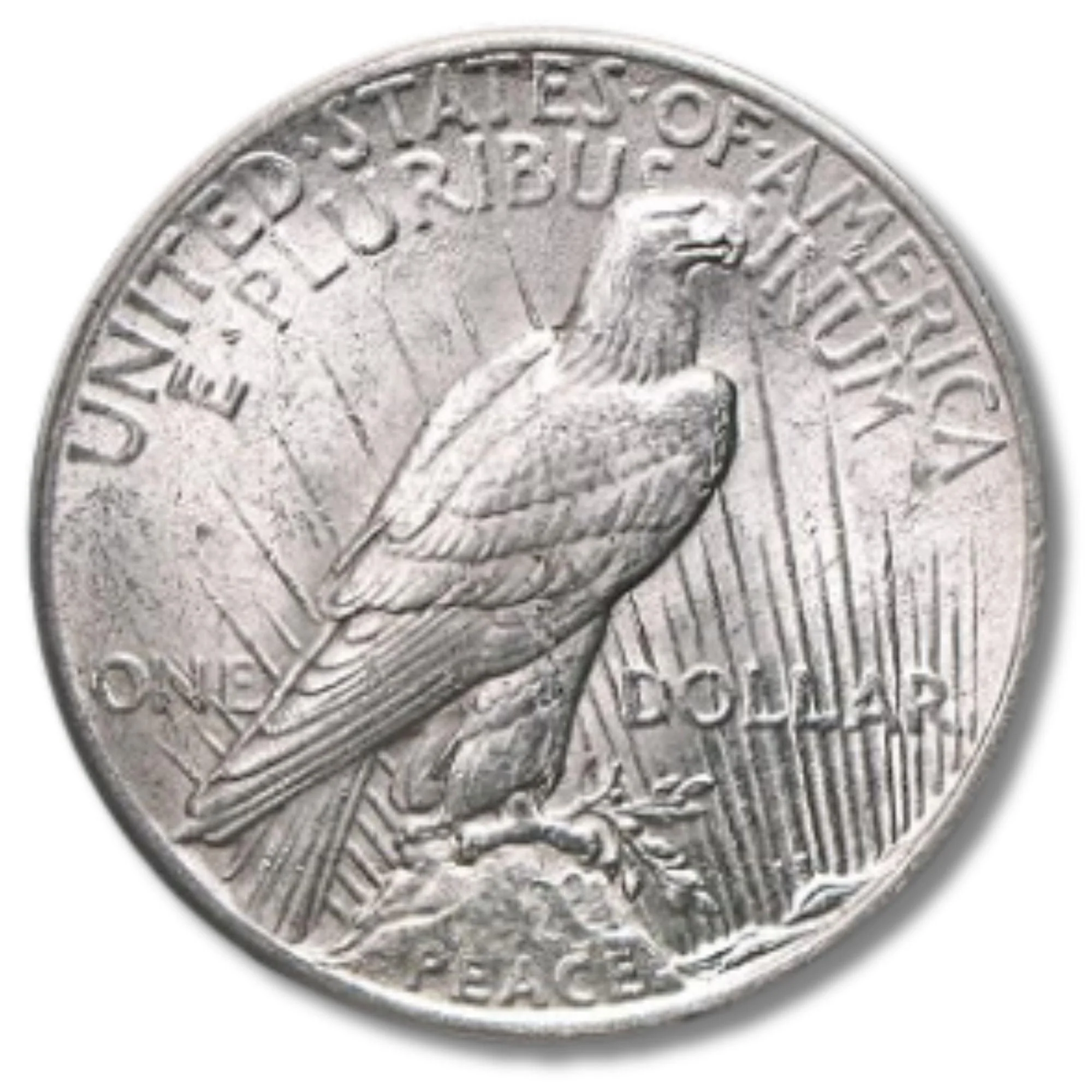 Pre-1935 Peace Silver Dollar AU (Random Year) - Image 2