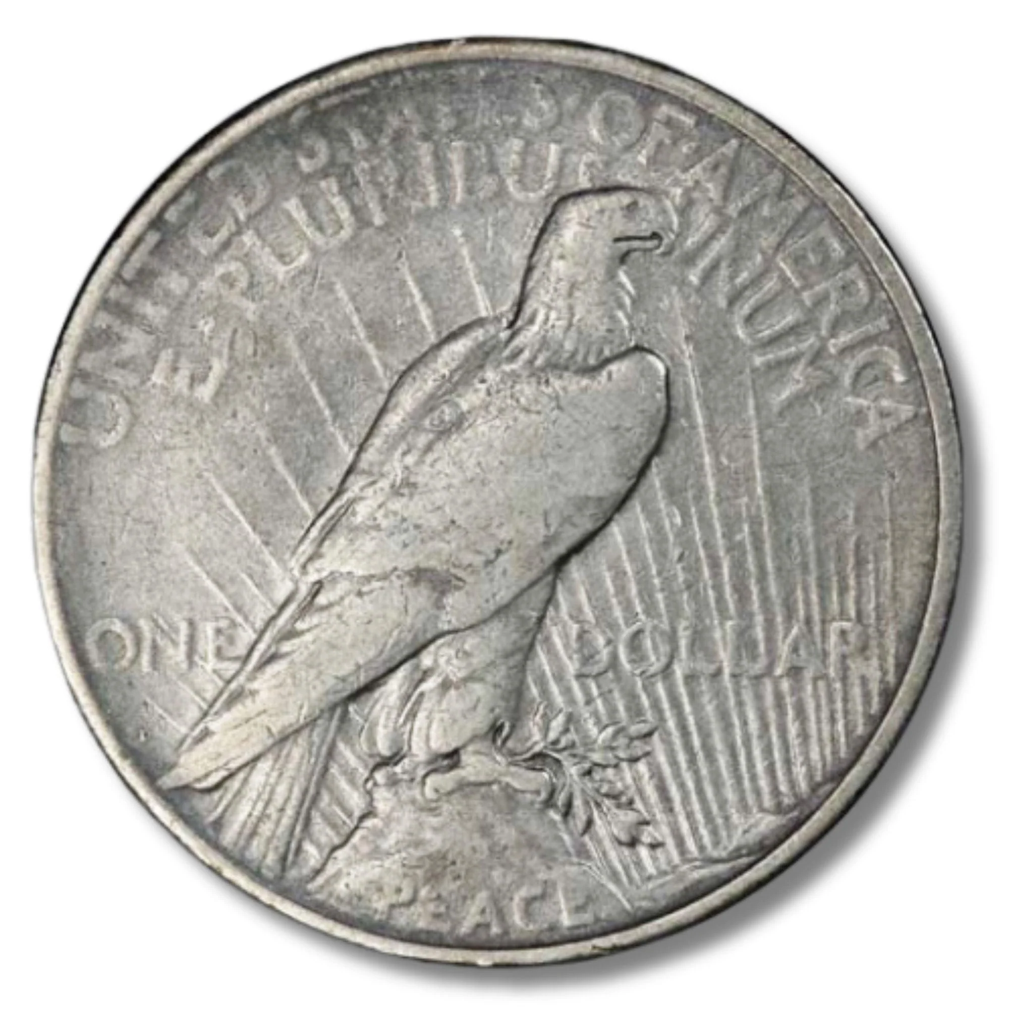 Pre-1935 Peace Silver Dollar Cull (Random Year) - Image 2